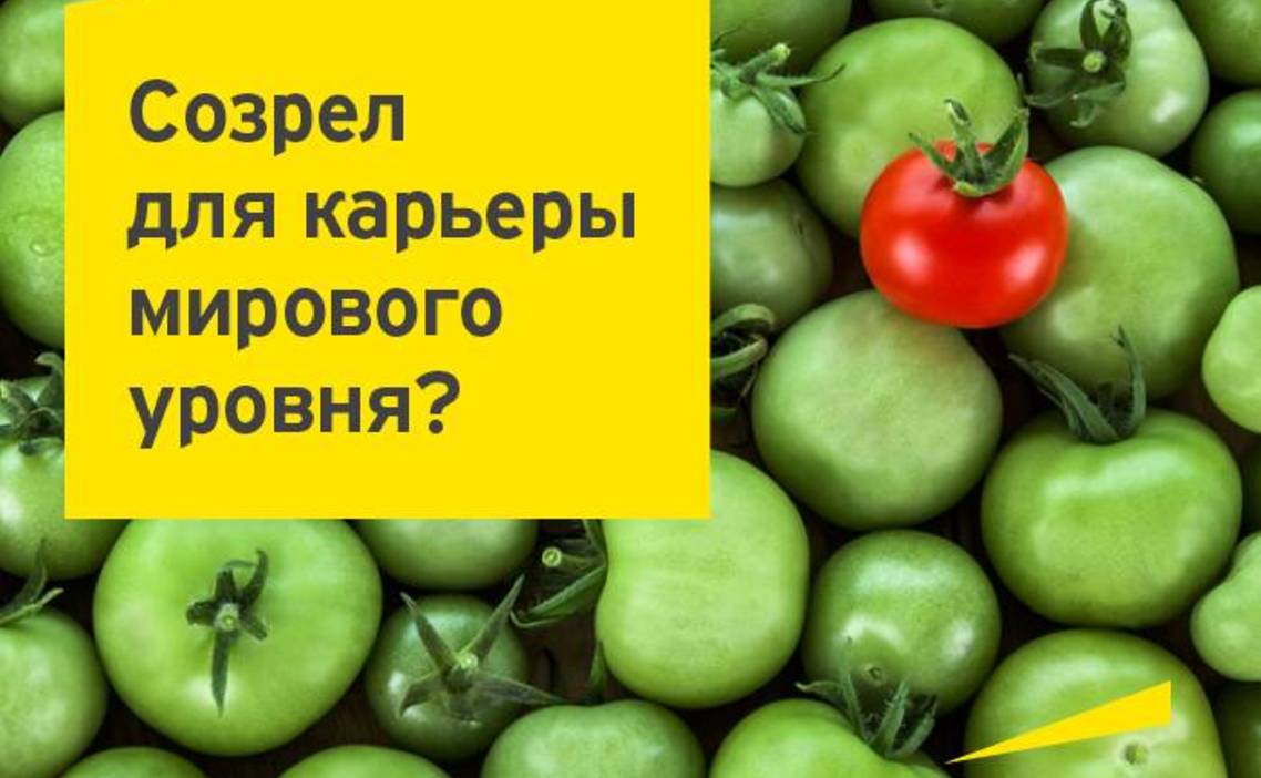 Стажировка Младший юрист, Группа по оказанию юридических услуг в EY в  Москве — Grintern