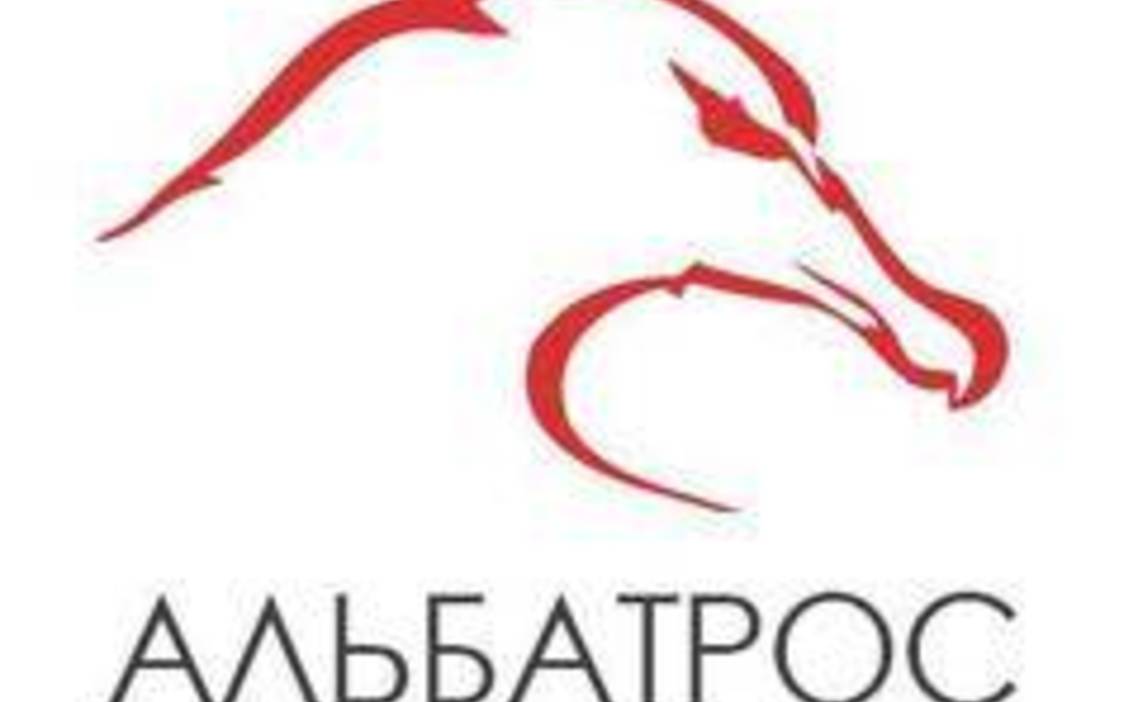 Стажировка Контент-менеджер в Albatross Internet Group в Новосибирске —  Grintern