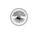 Thumbnail_new_logo-03