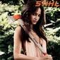 Thumbnail_stihl-1